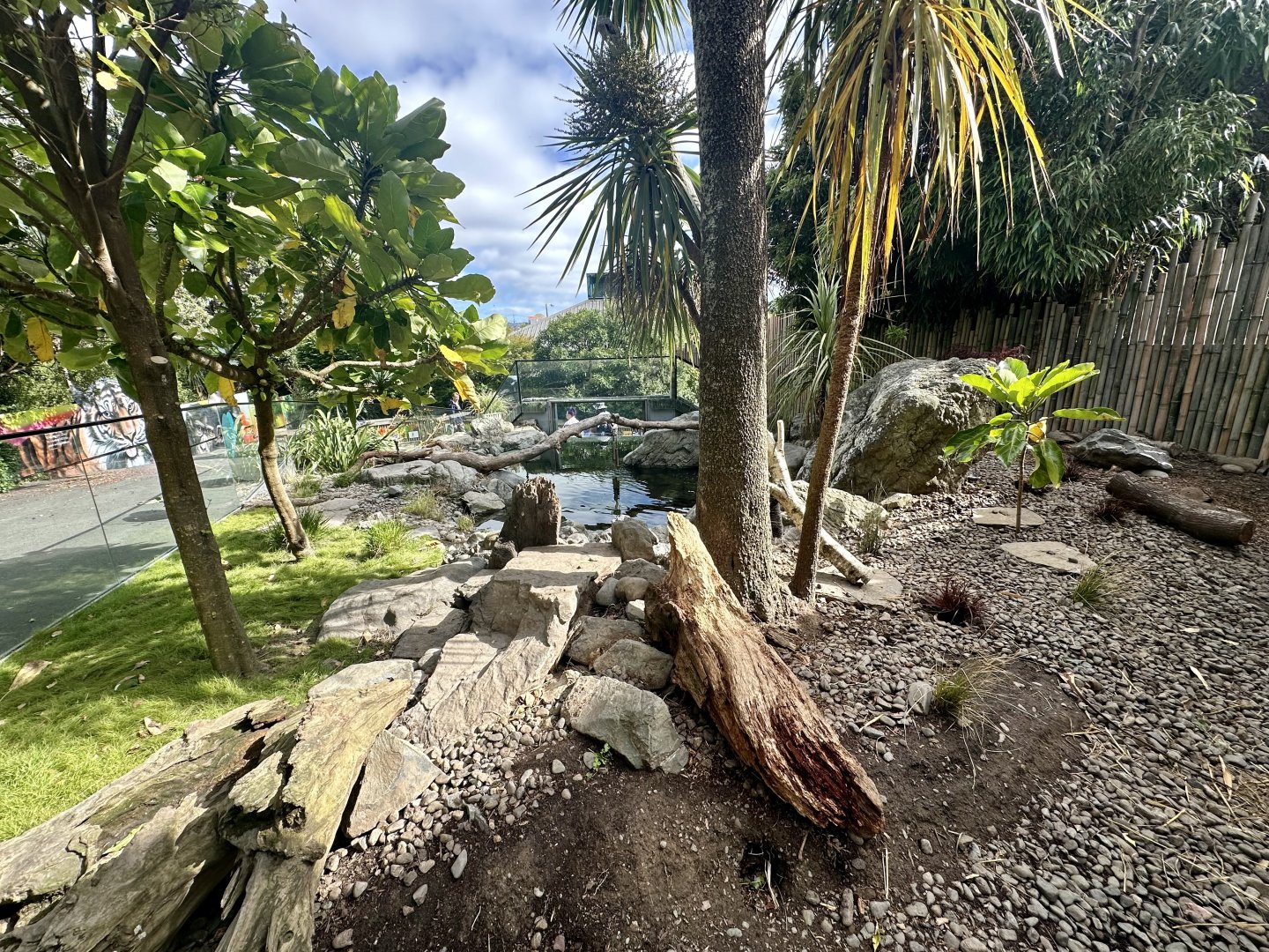 Asian-small Clawed Otter Exhibit