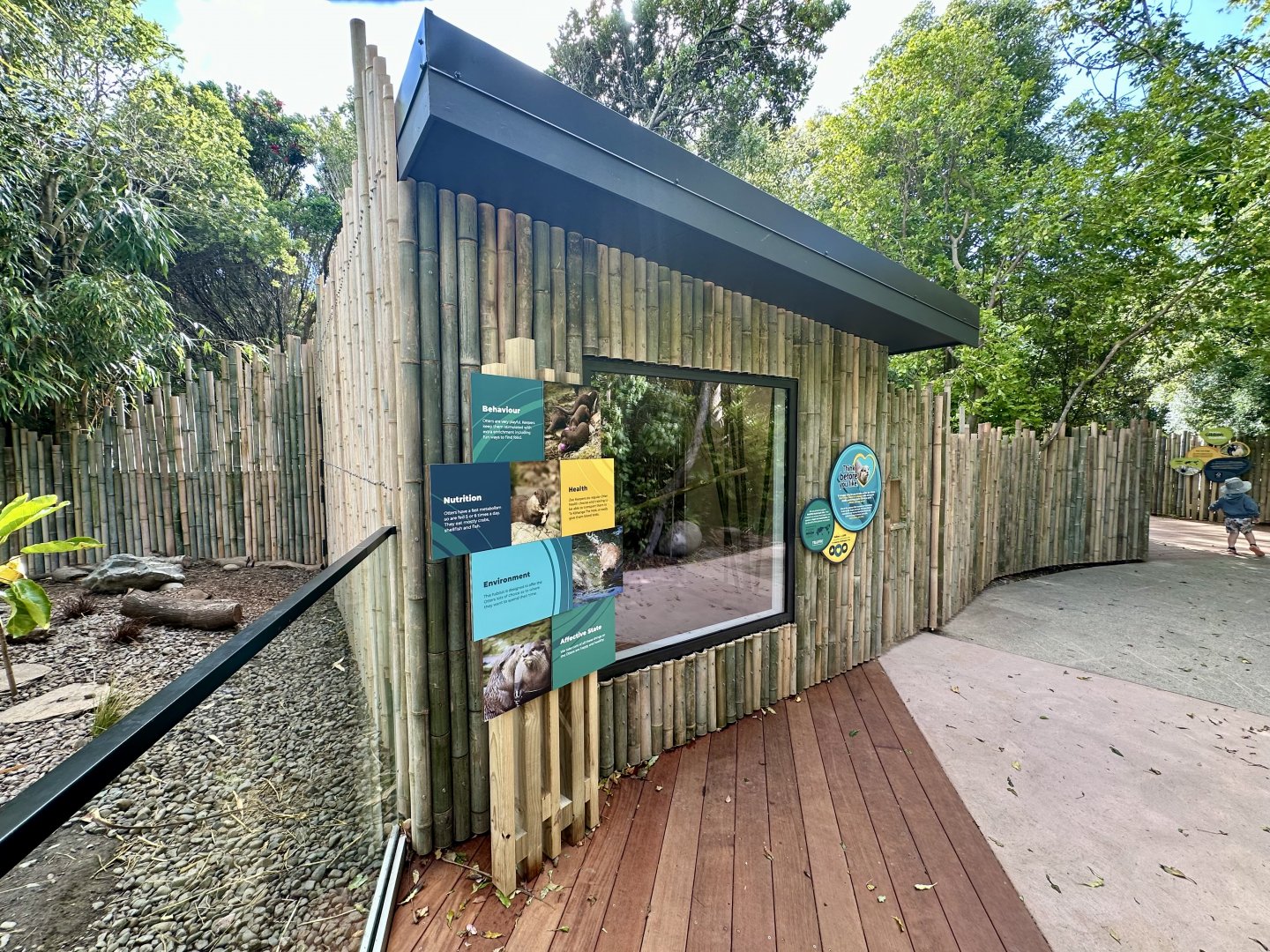 Asian-small Clawed Otter Exhibit