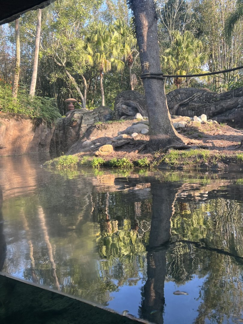 Asian Small-Clawed Otter Exhibit