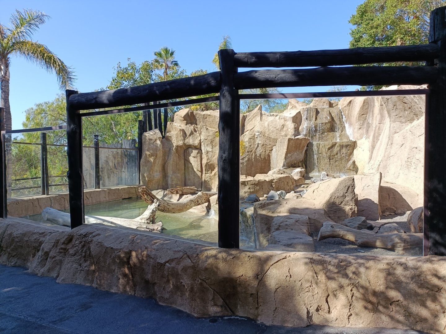 Asian small-clawed otter exhibit