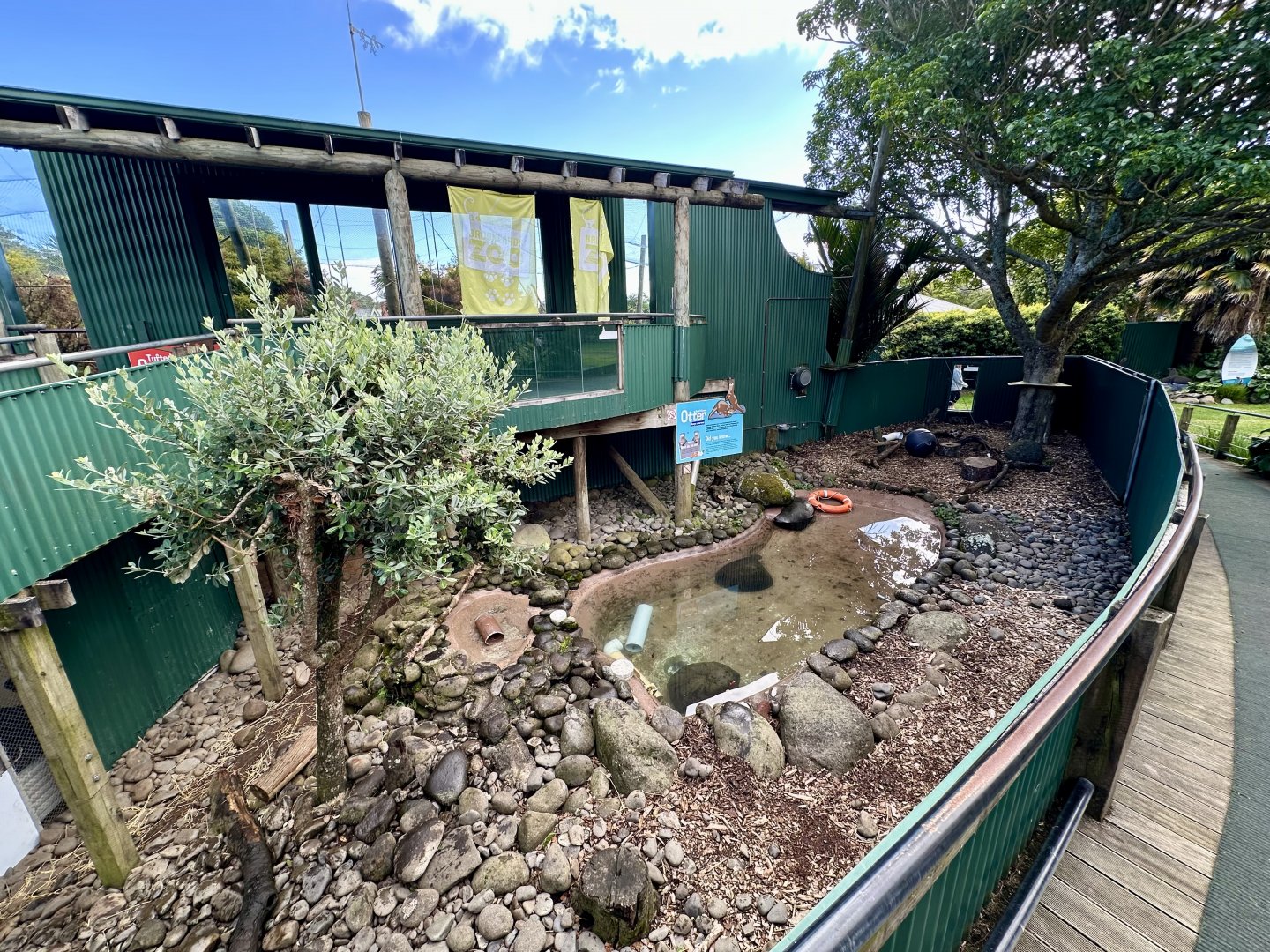 Asian Small-clawed Otter Exhibit