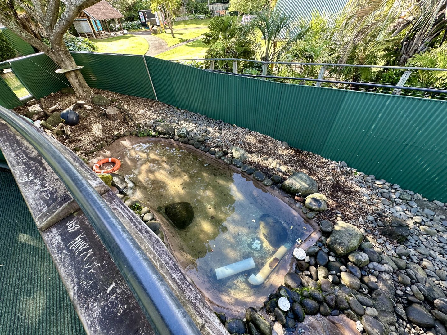 Asian Small-clawed Otter Exhibit