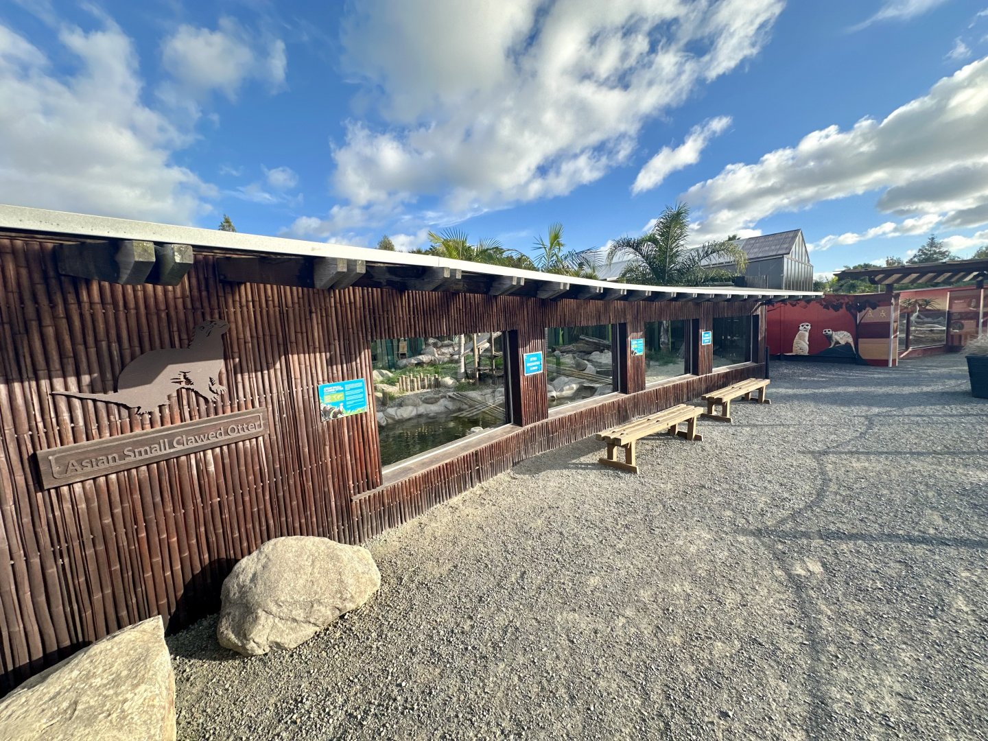 Asian Small-Clawed Otter Exhibit