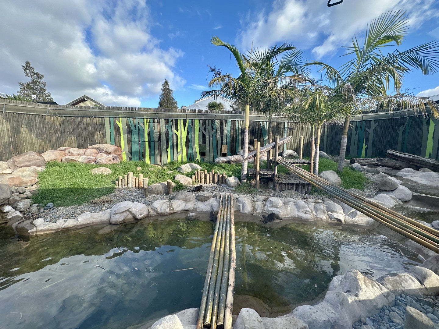 Asian Small-Clawed Otter Exhibit