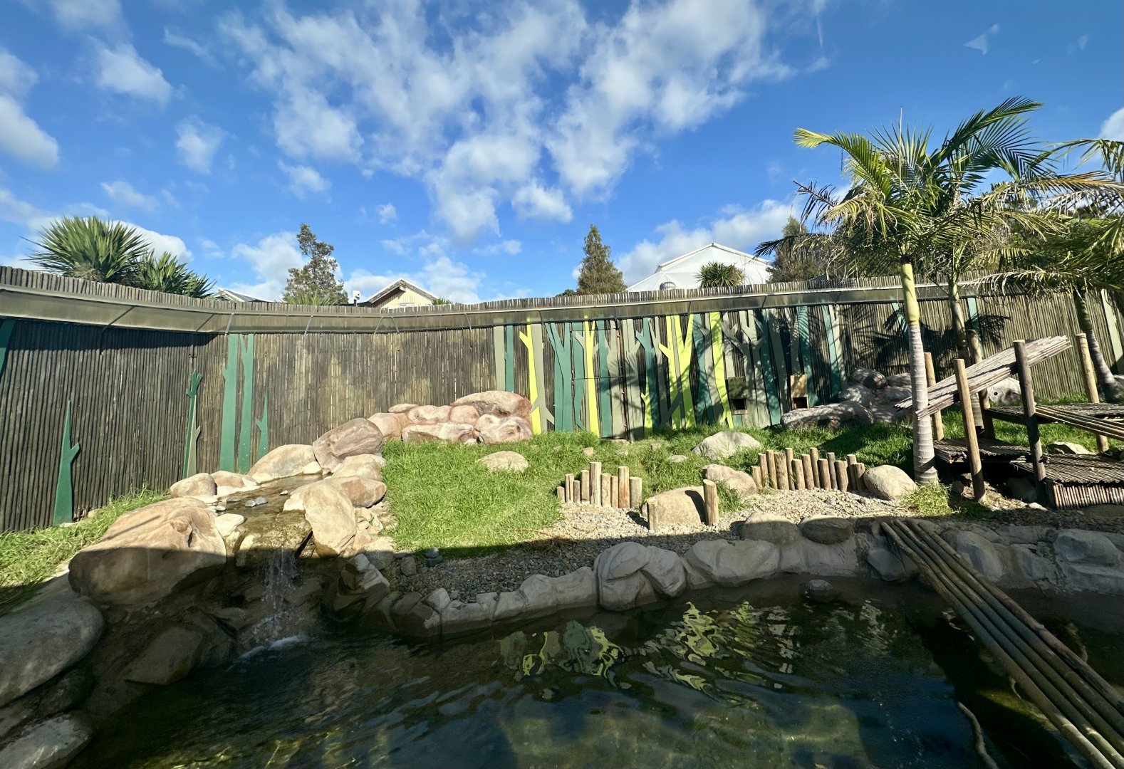 Asian Small-Clawed Otter Exhibit