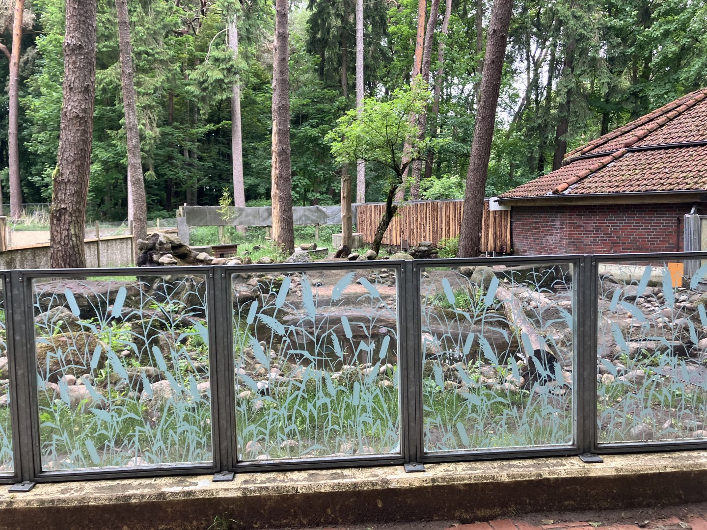 Asian small-clawed otter exhibit