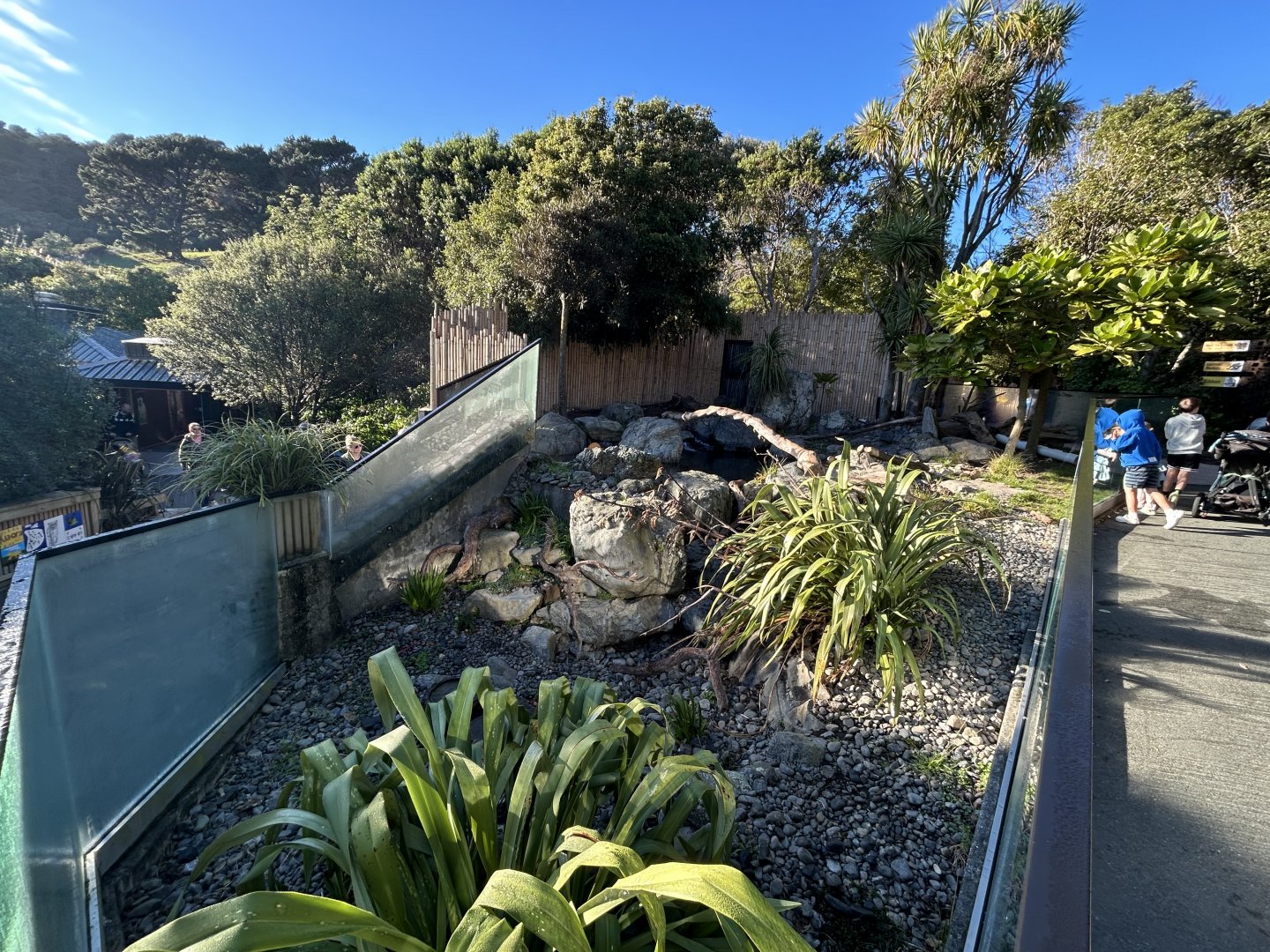 Asian Small-clawed Otter Exhibit