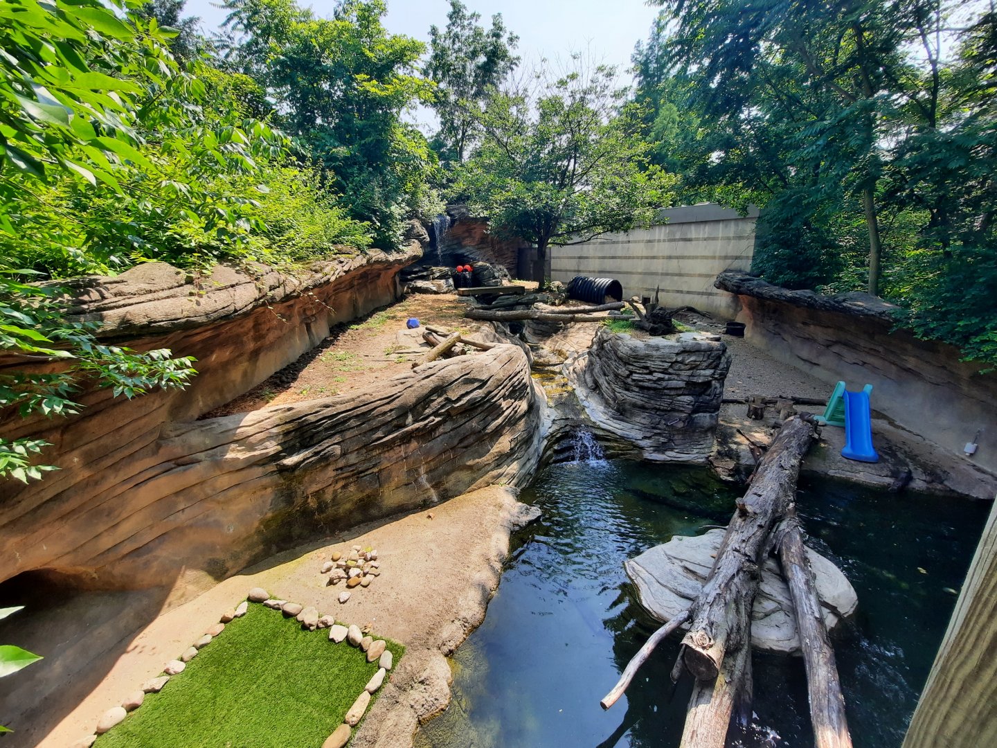 Asian Small Clawed Otter Exhibit