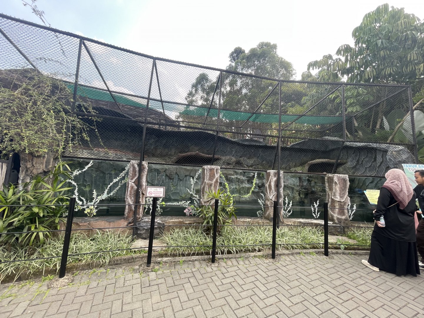 asian small-clawed otter exhibit