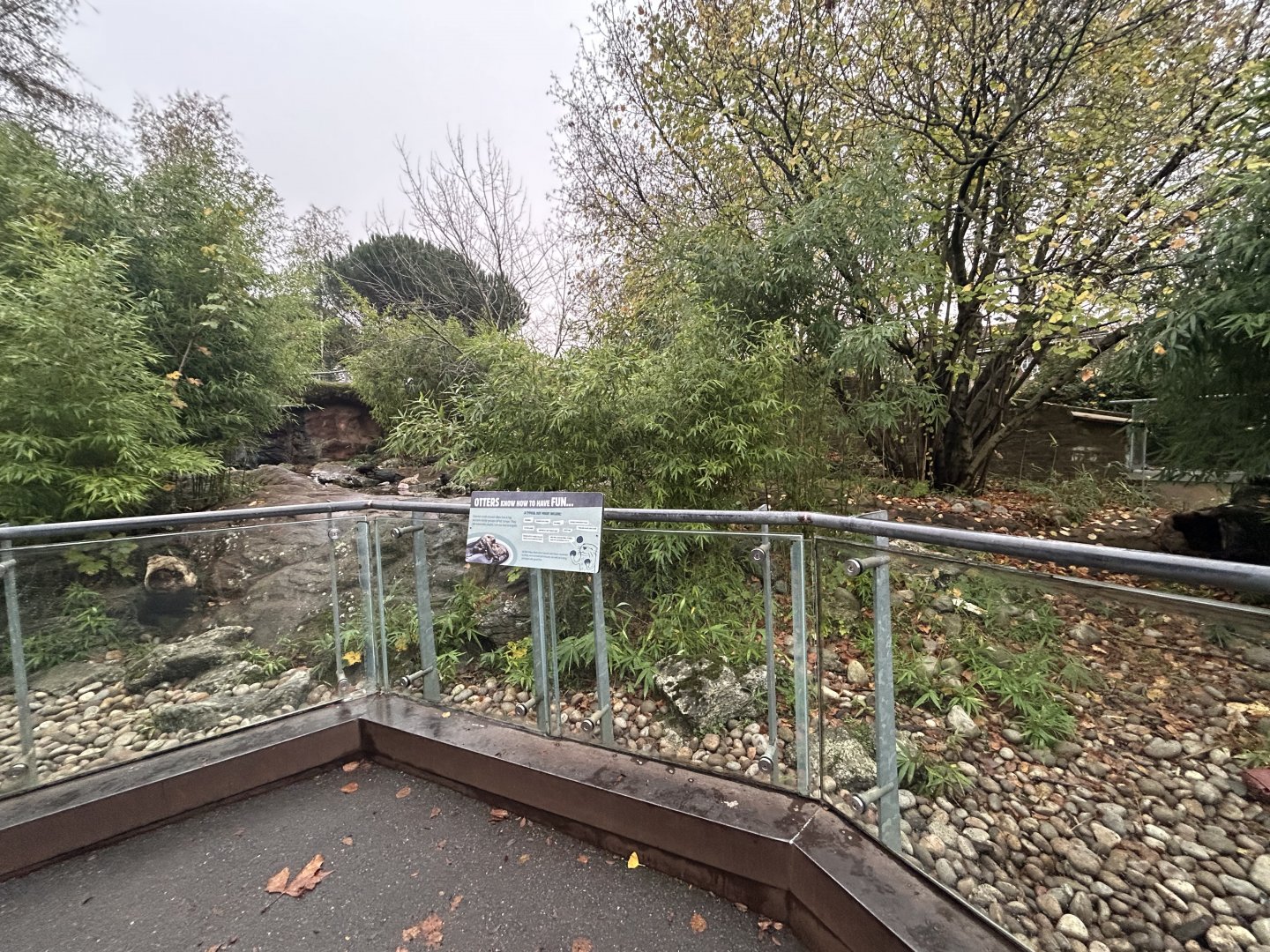 Asian Small-clawed Otter Exhibit