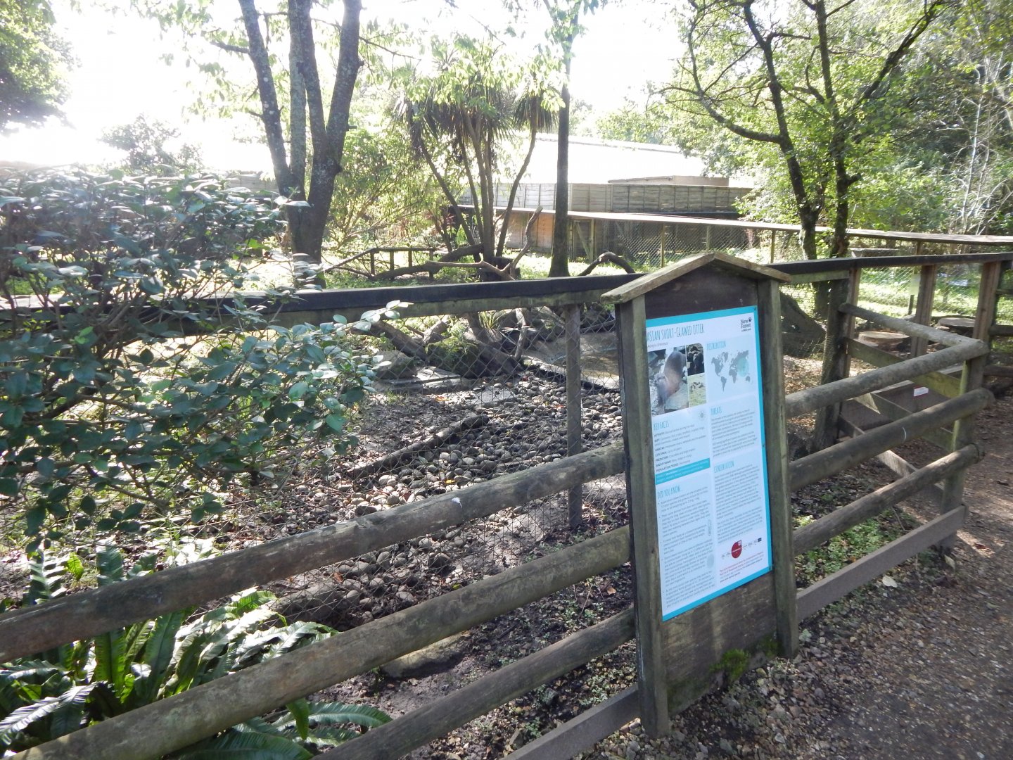 Asian small-clawed otter habitat 130924