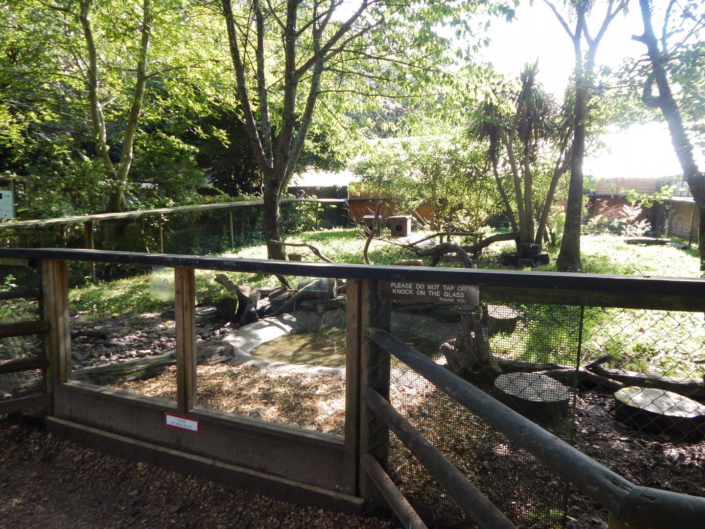 Asian small-clawed otter habitat 130924