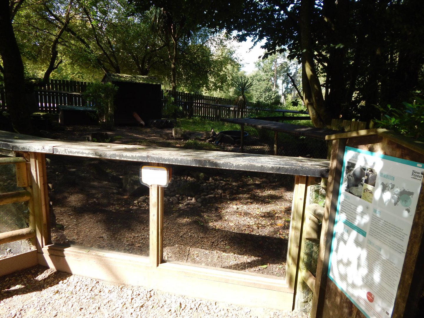 Asian small-clawed otter habitat 130924