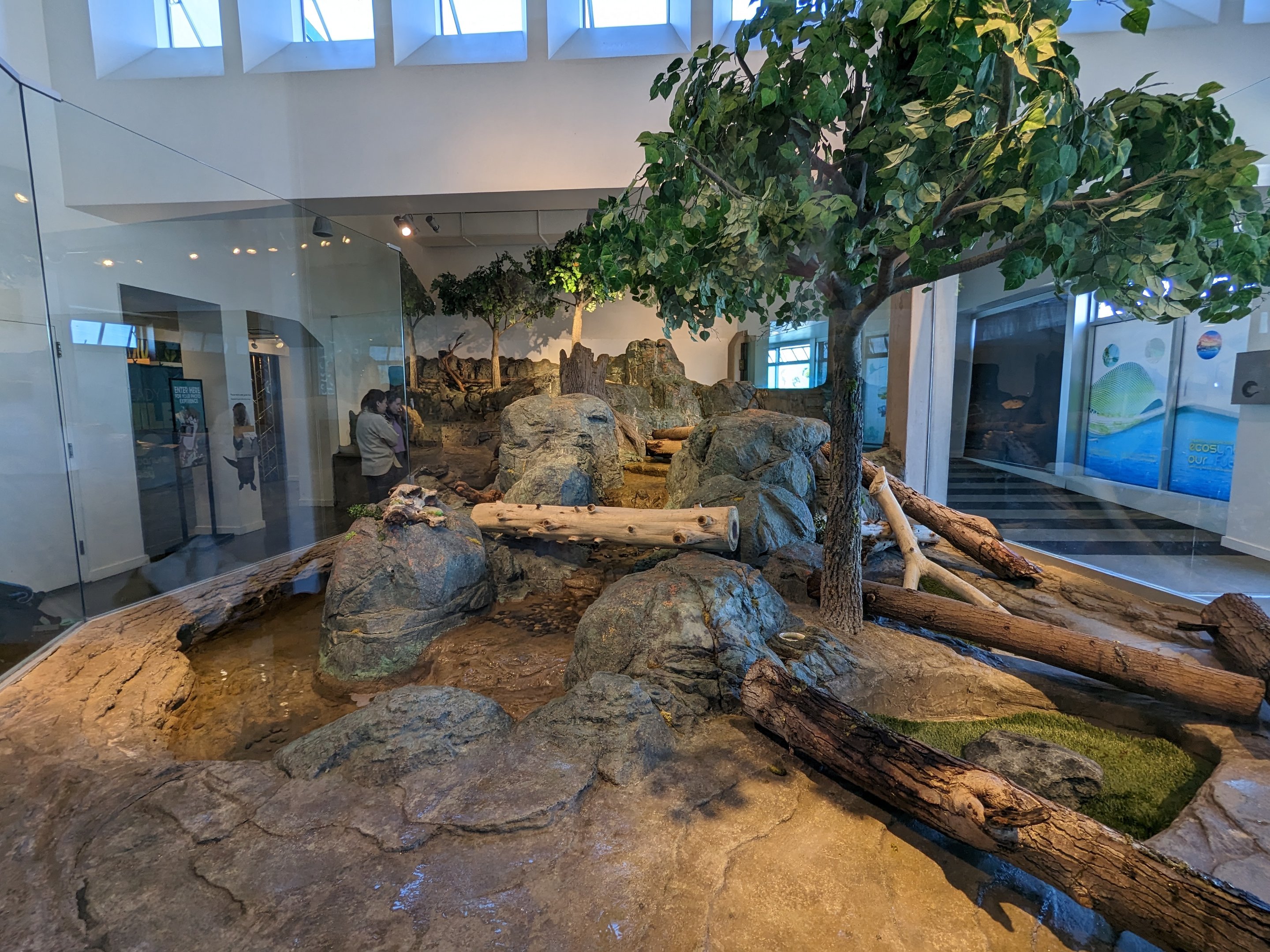 Asian small clawed otter habitat