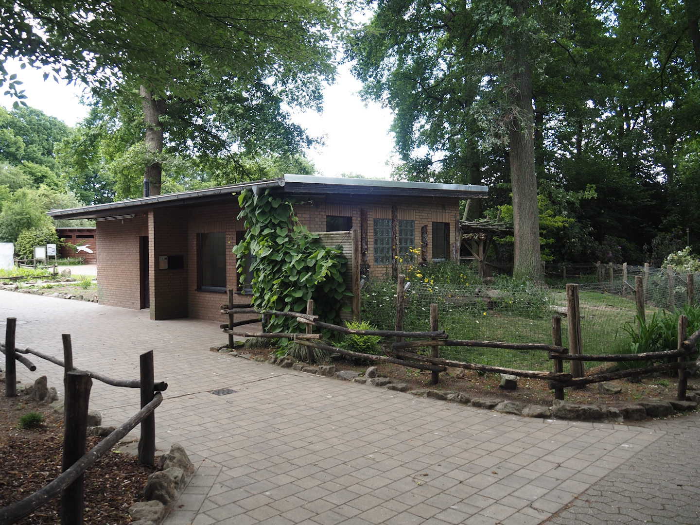 Asian small-clawed otter house, 2025-05-22