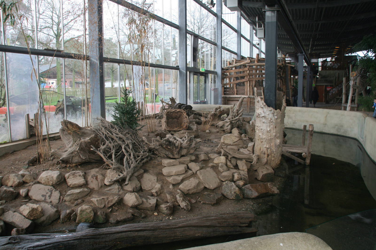 Asian small-clawed otter indoor exhibit