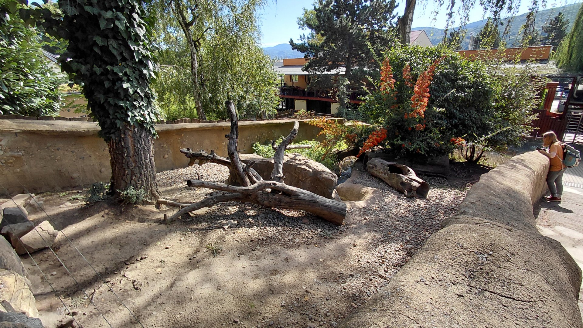 Asian small-clawed otter outdoor exhibit