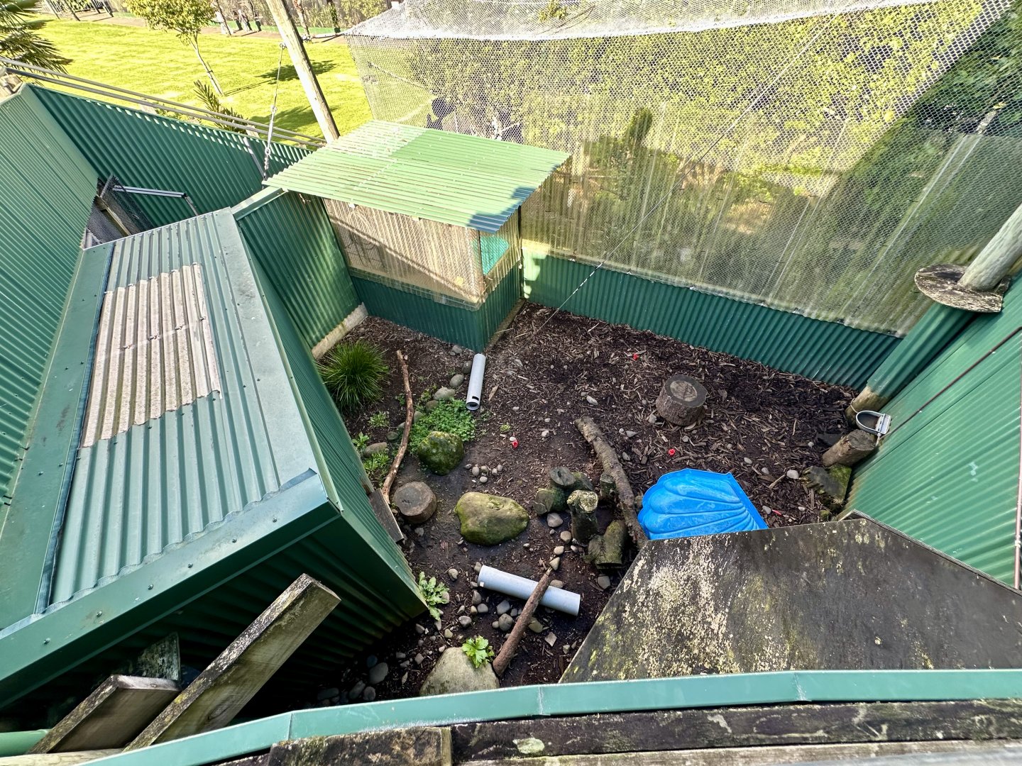 Asian Small-Clawed Otter Separation Exhibit