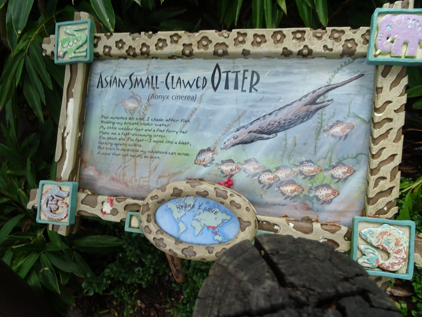 Asian Small-clawed Otter Signage at Disney's Animal Kingdom (2014)