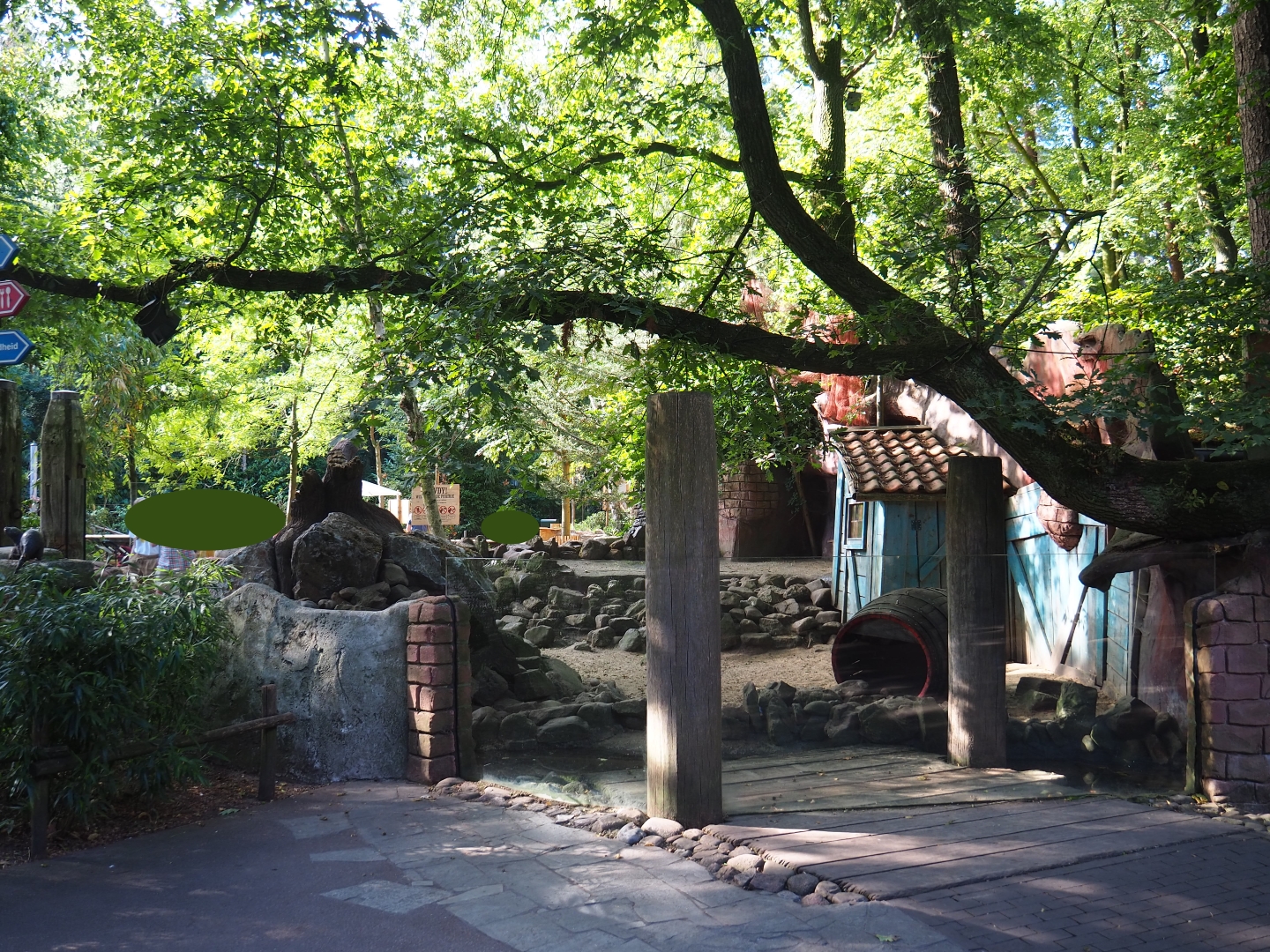 Asian small-clawed otter viewing area