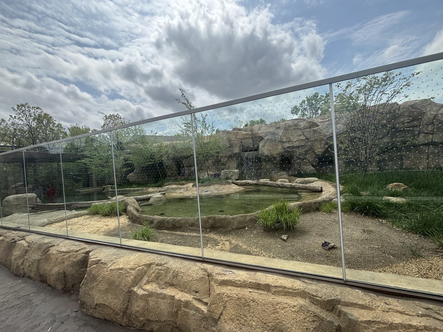 Asian Small Clawed Otter Viewing/Exhibit