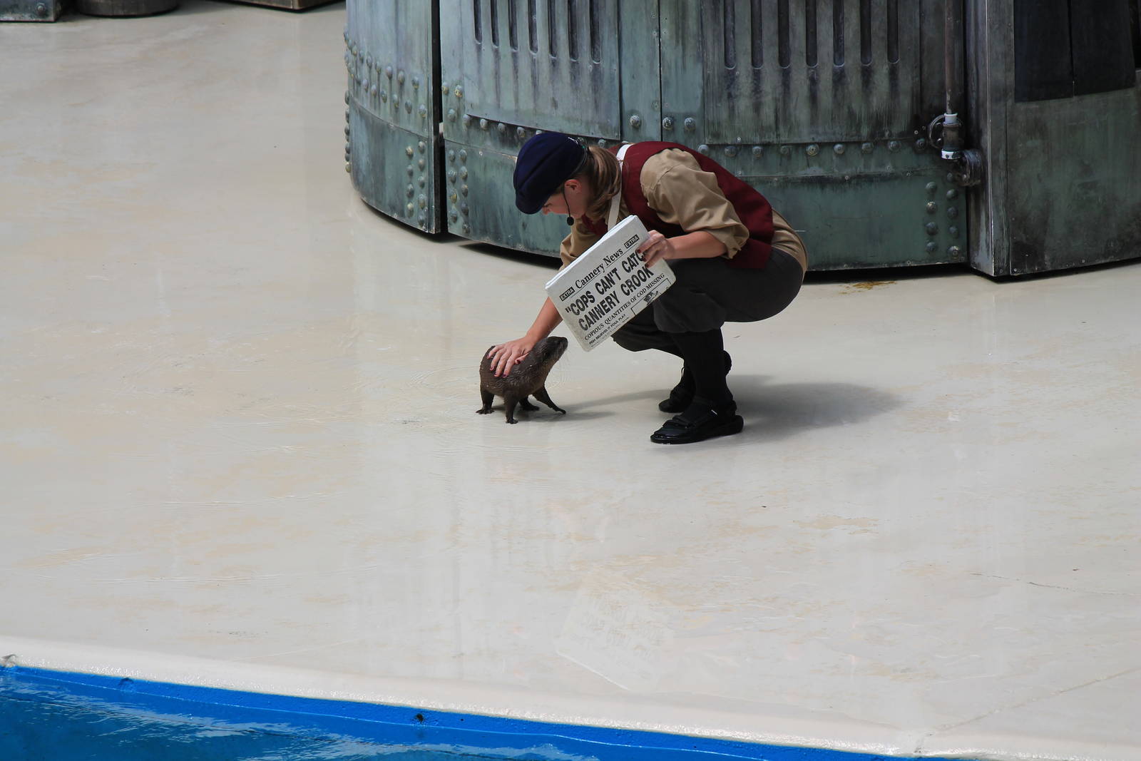 Asian Small-Clawed Otter