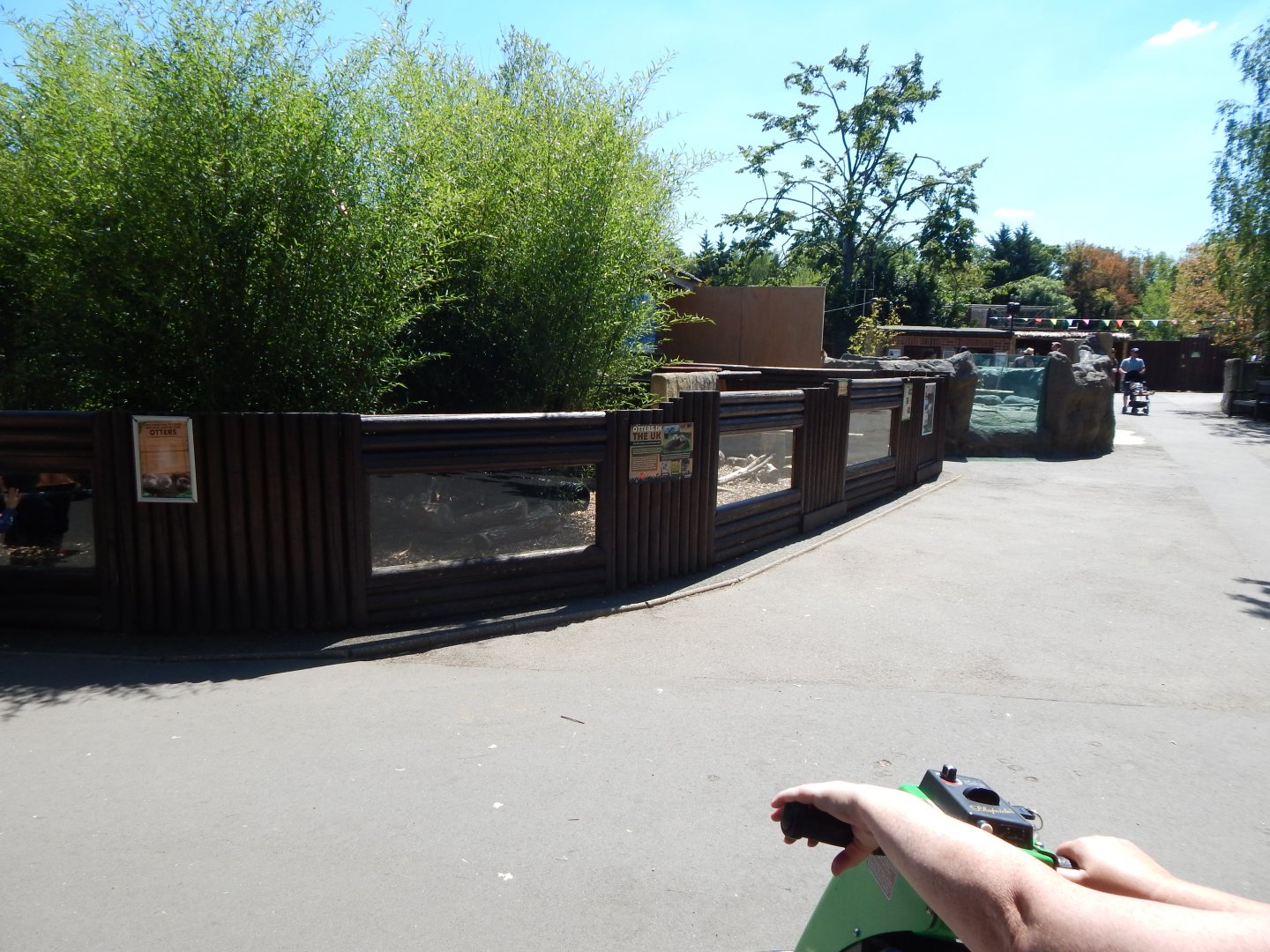 Asian small-clawed otters enclosure 100722