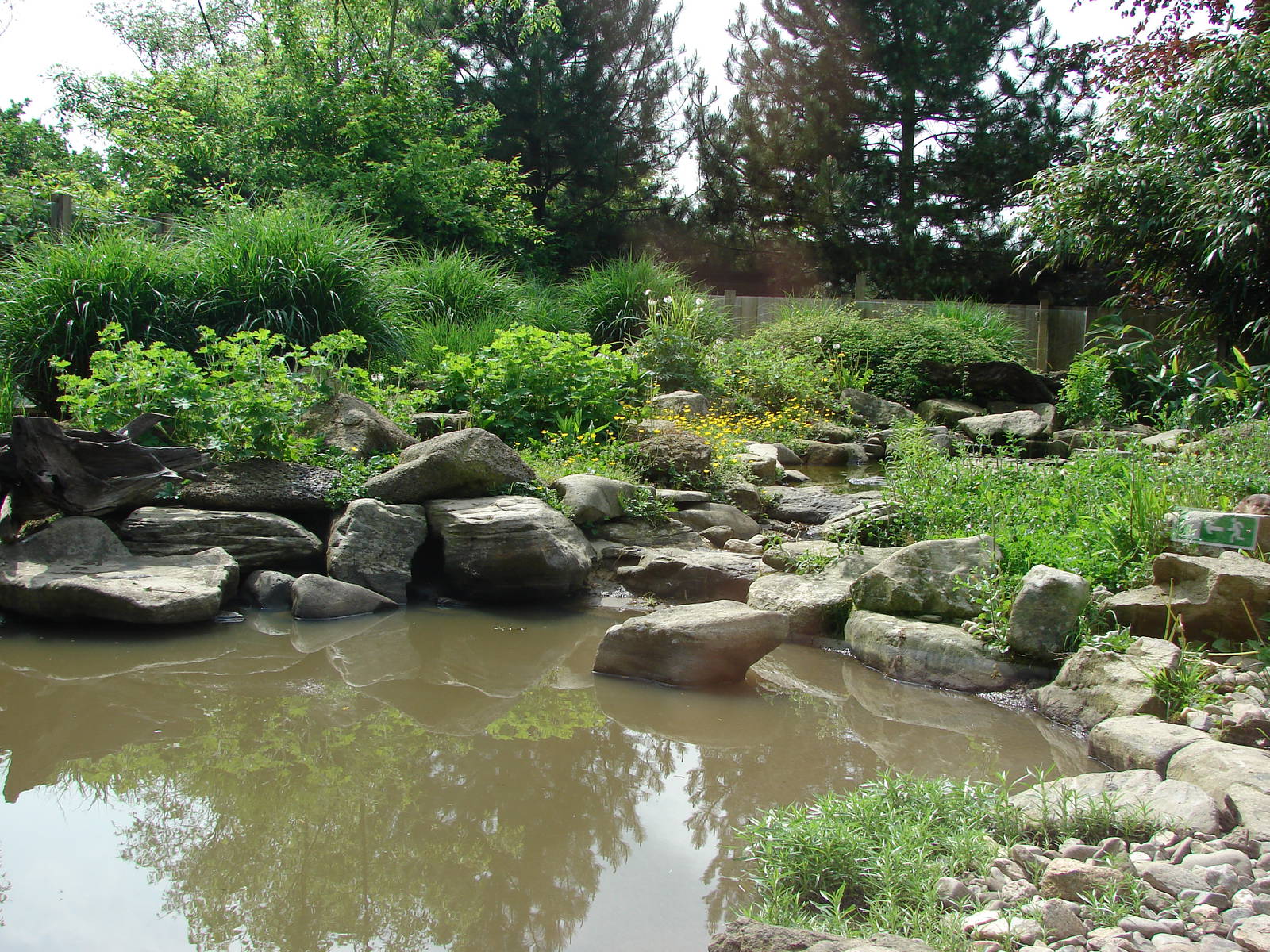Asian small clawed-otters exhibit