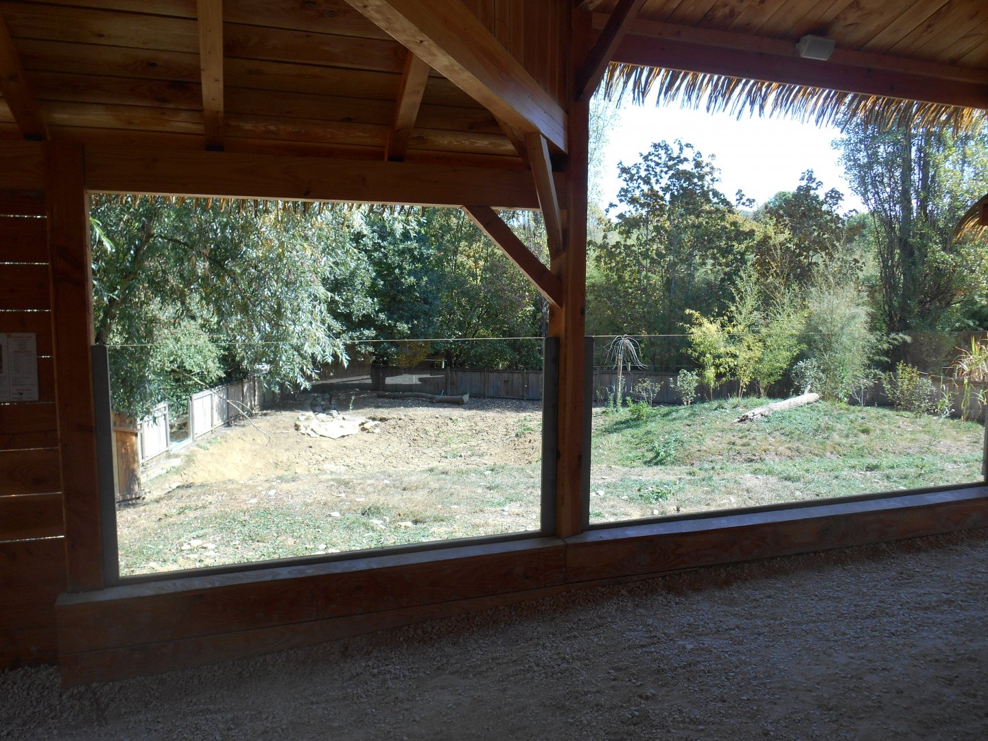 Asian Small-clawed Otters Exhibit