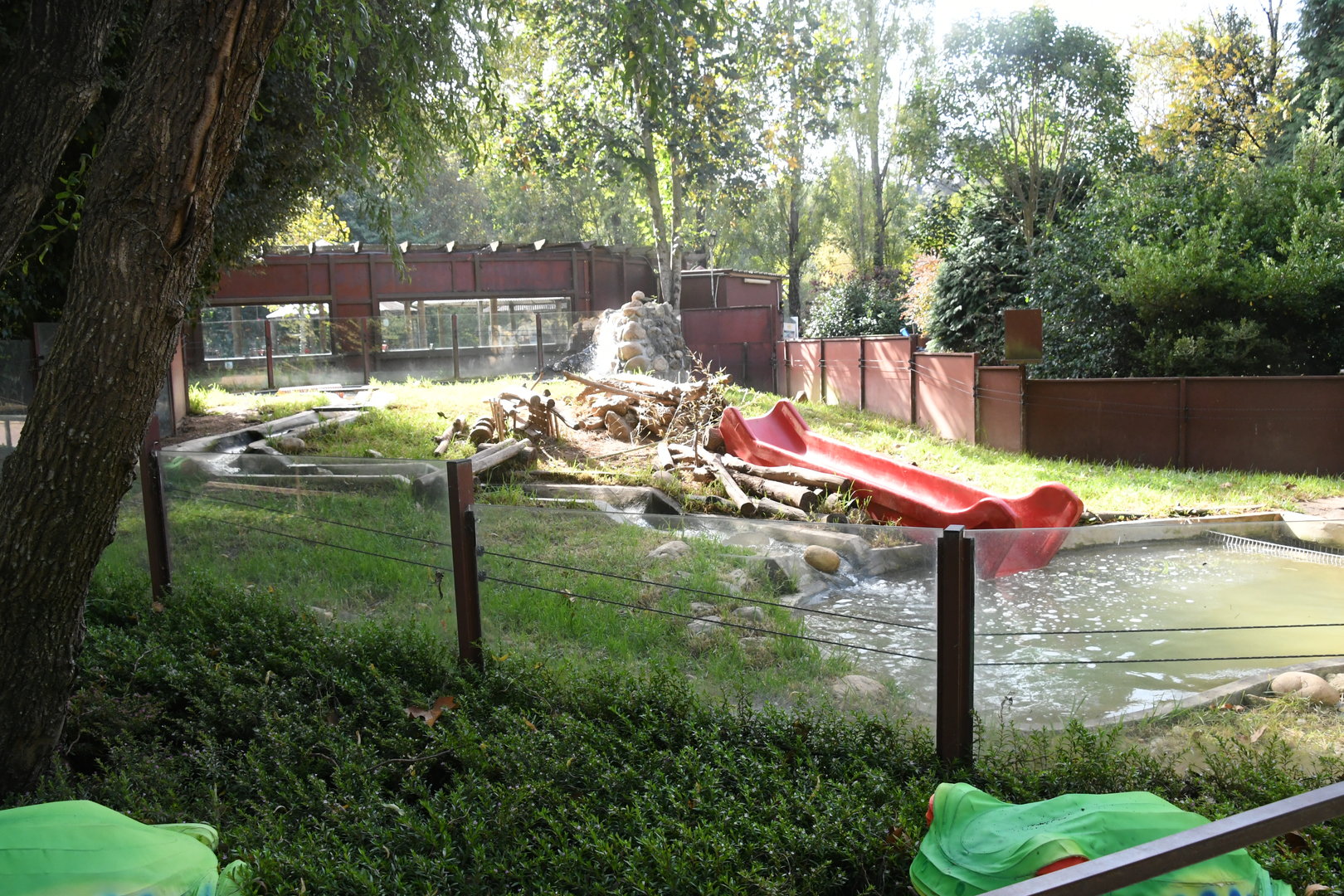 Asian Small-clawed Otters exhibit