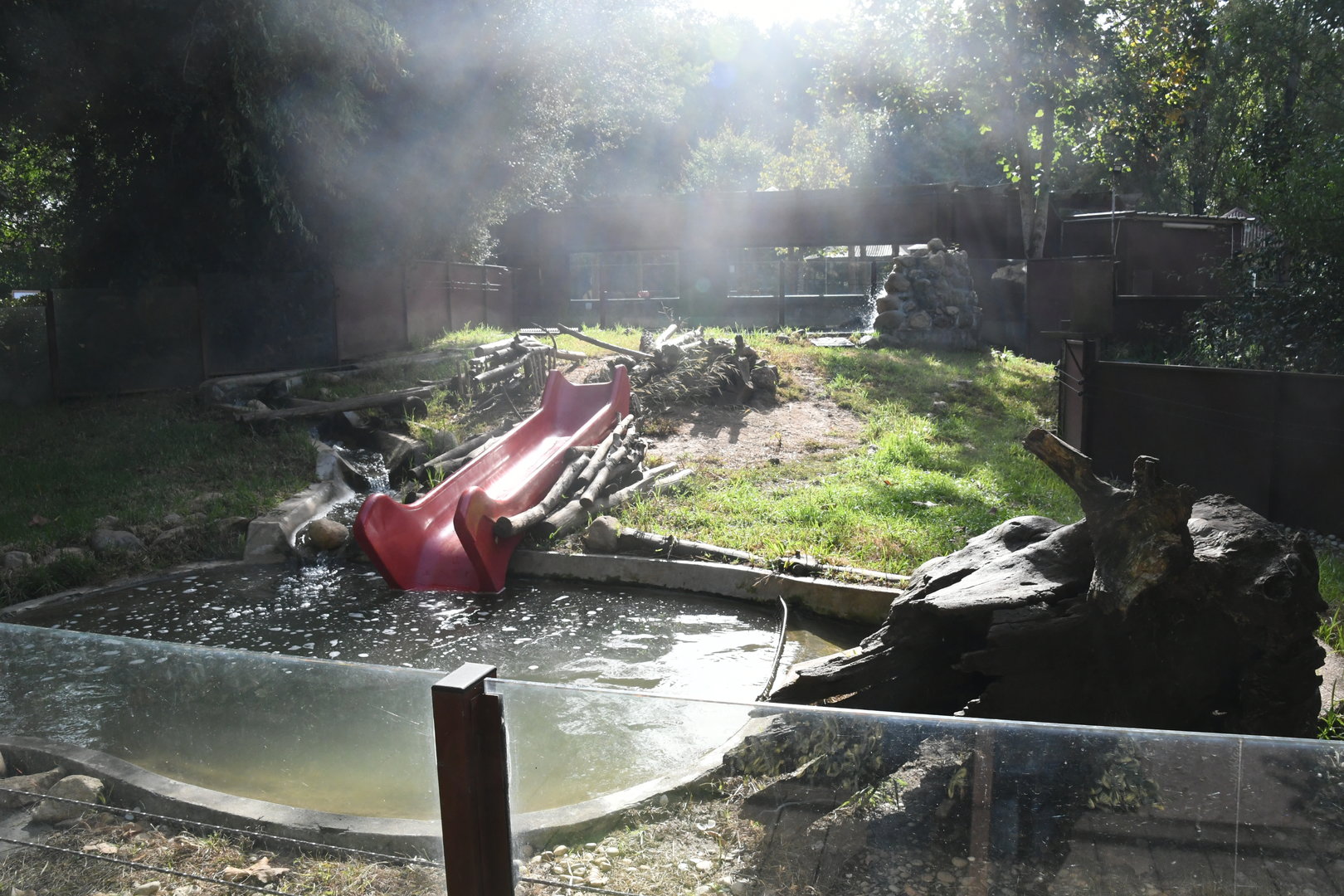 Asian Small-clawed Otters exhibit