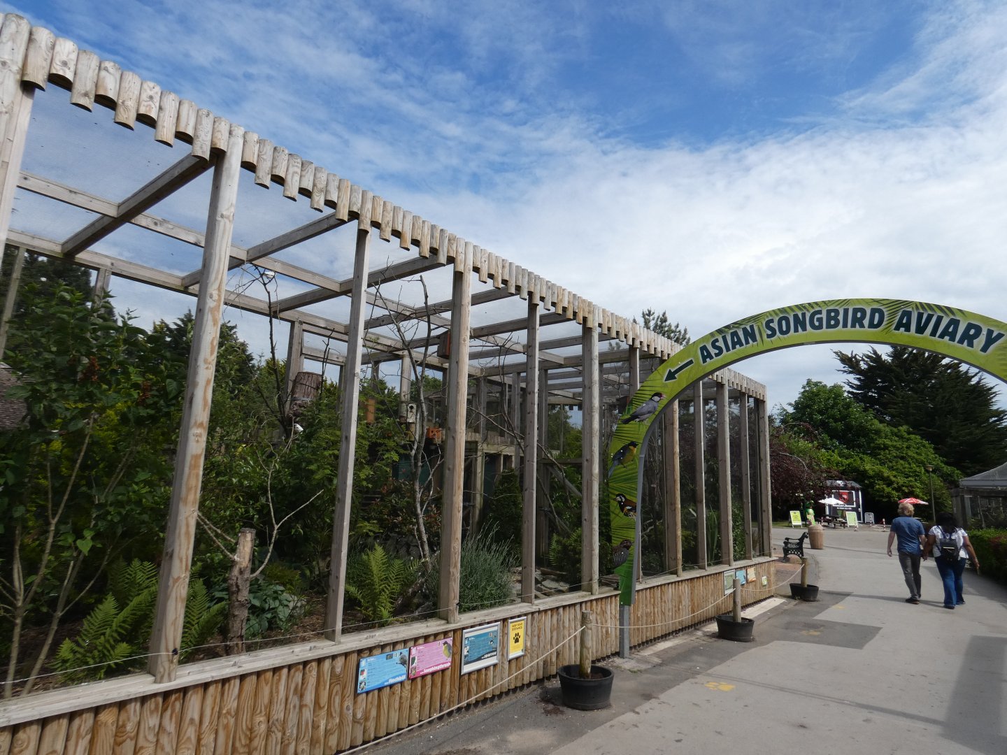 Asian song bird aviary