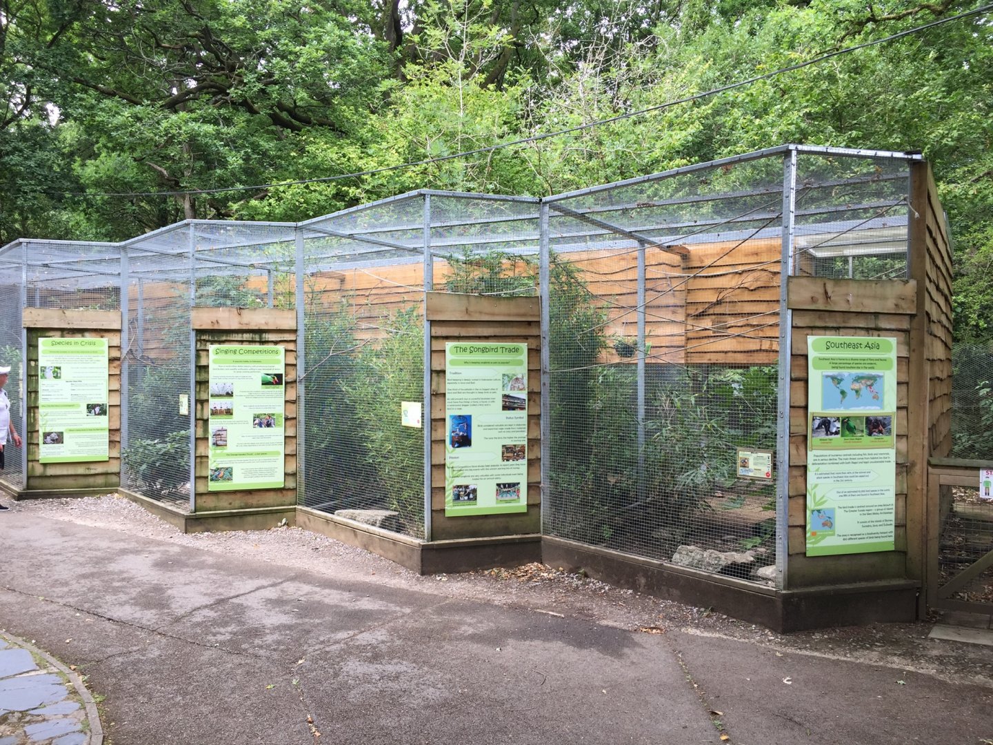 Asian songbird aviaries, Birdworld, August 2020