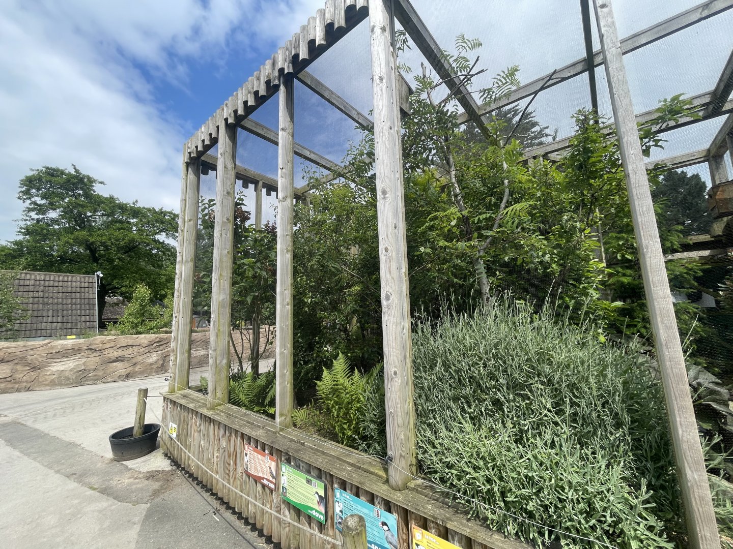 Asian Songbird Aviaries