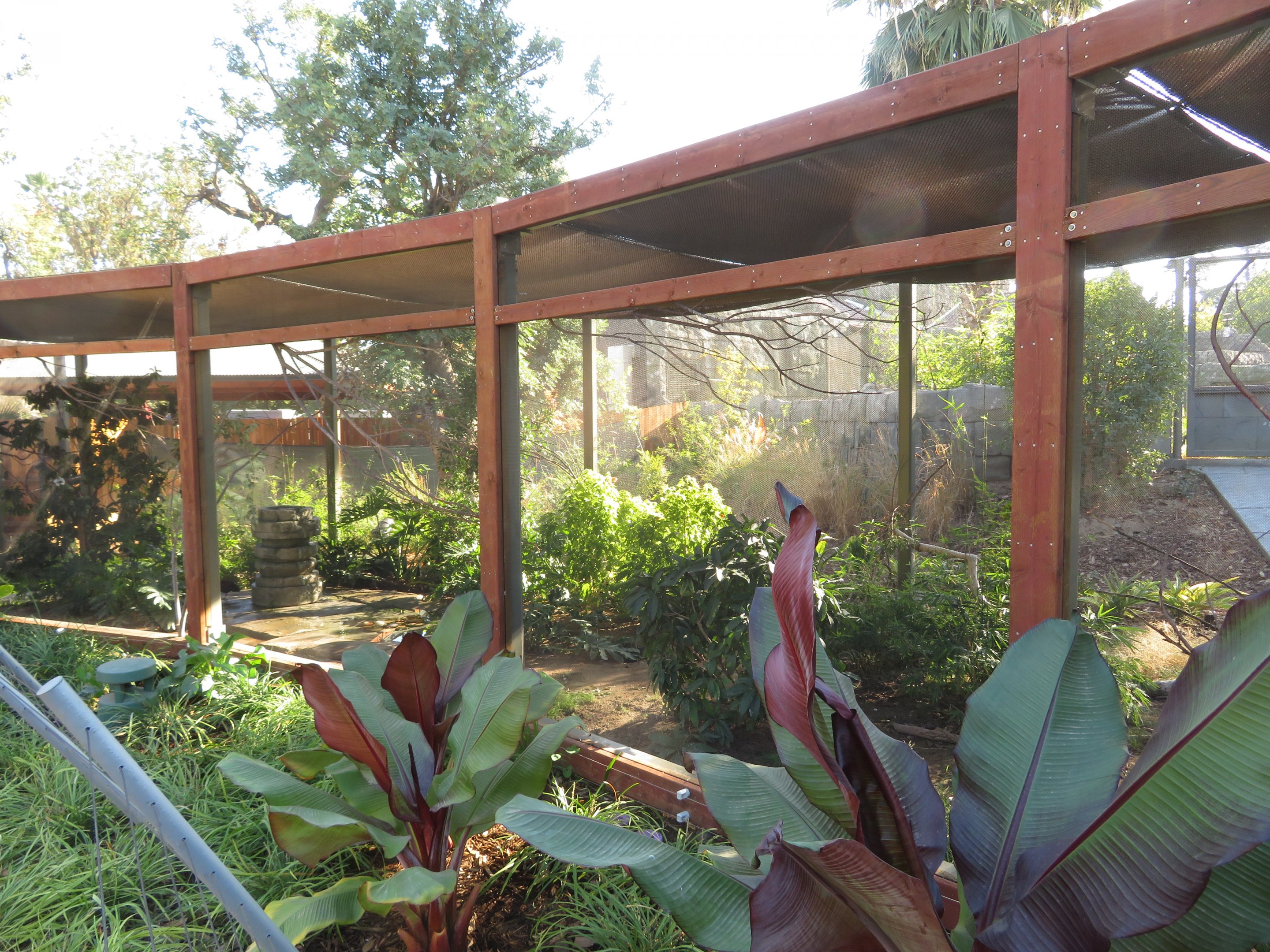 Asian Songbird Aviary