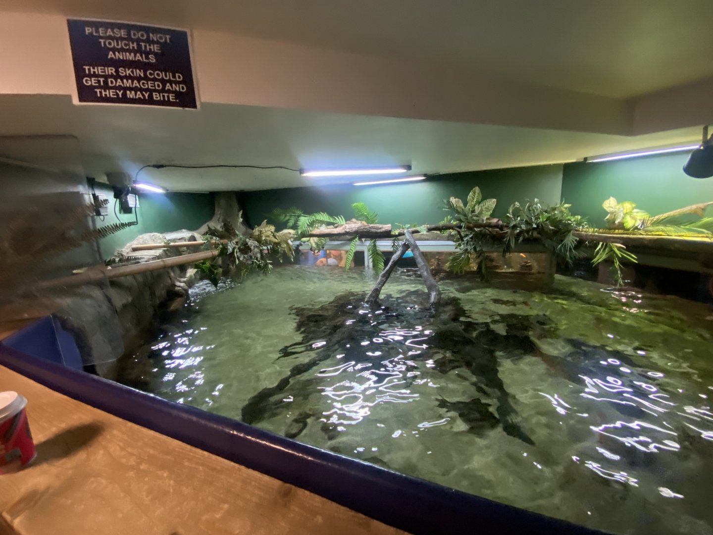 Asian Tank from above 070124