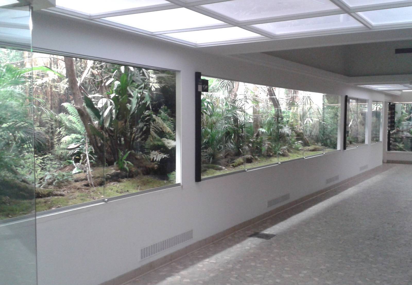 Asian themed aviaries