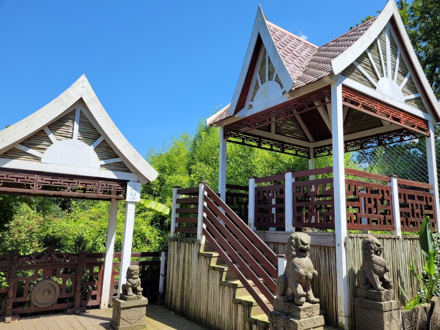 Asian themeing -Zoo d'Asson (2022)