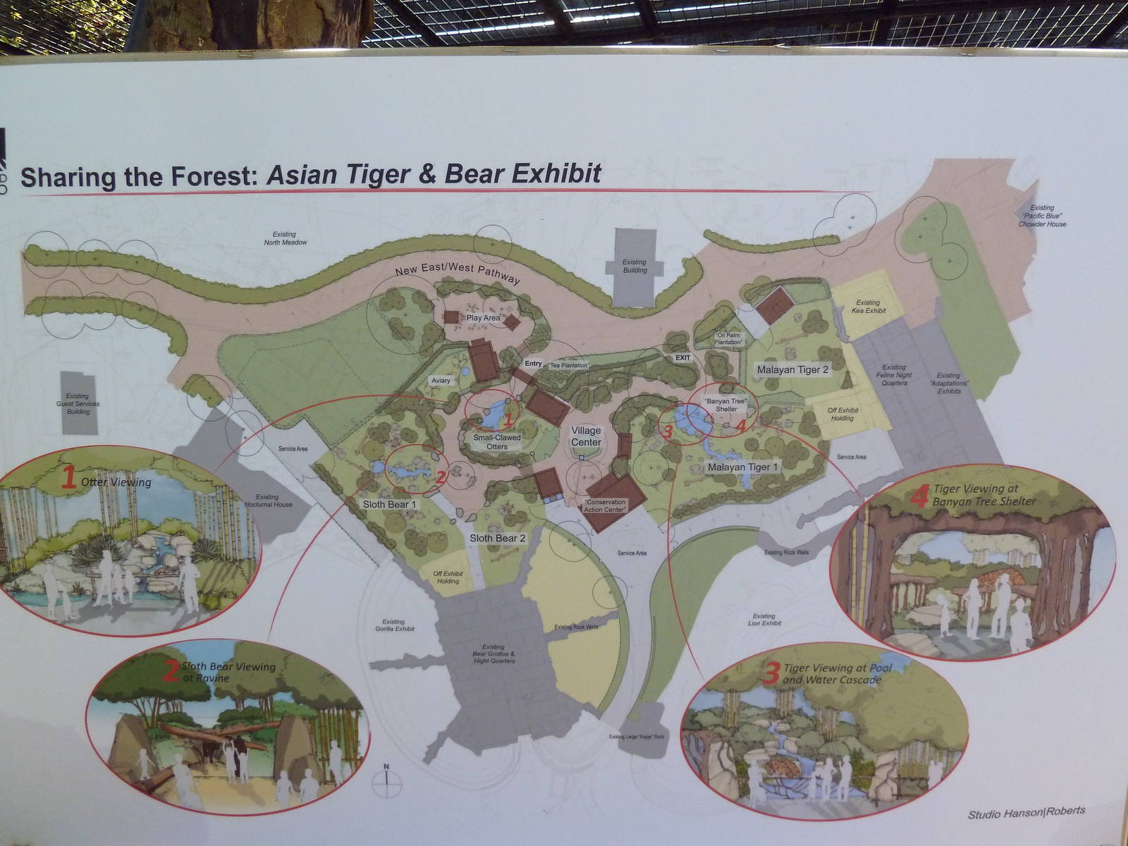 Asian Tropical Forest Plans (#1 Of 4 Photos)