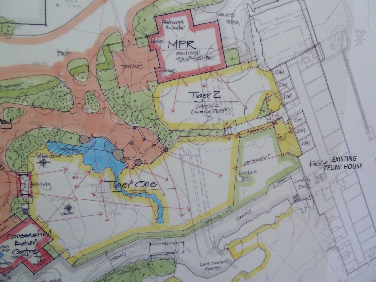 Asian Tropical Forest - Updated Plans (#3 of 3 Photos)
