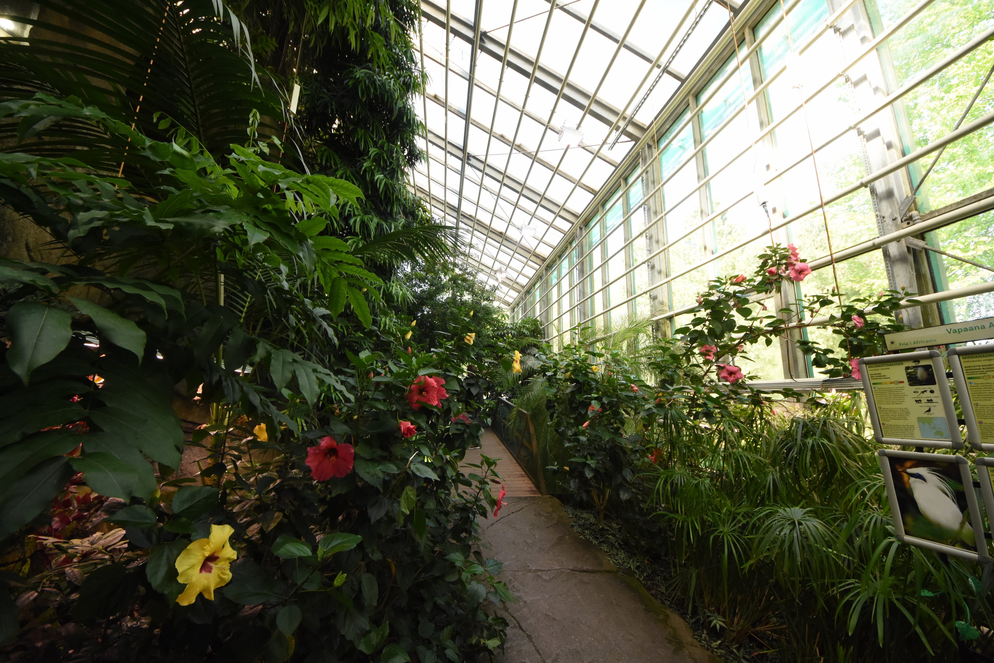 Asian tropical house