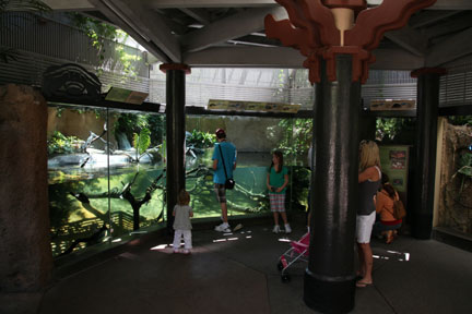 asian turtle exhibit