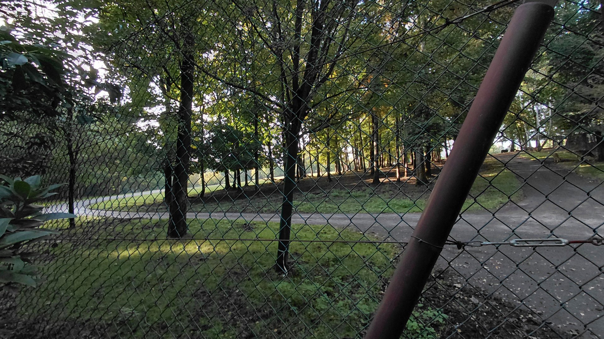 Asian ungulate exhibit