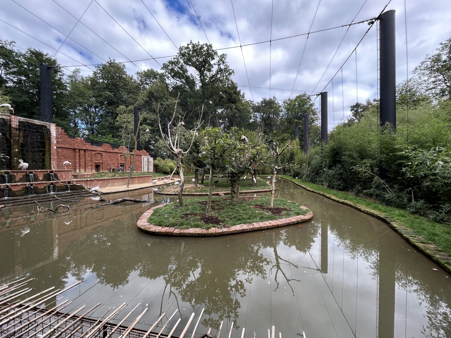 Asian Walk-in Aviary