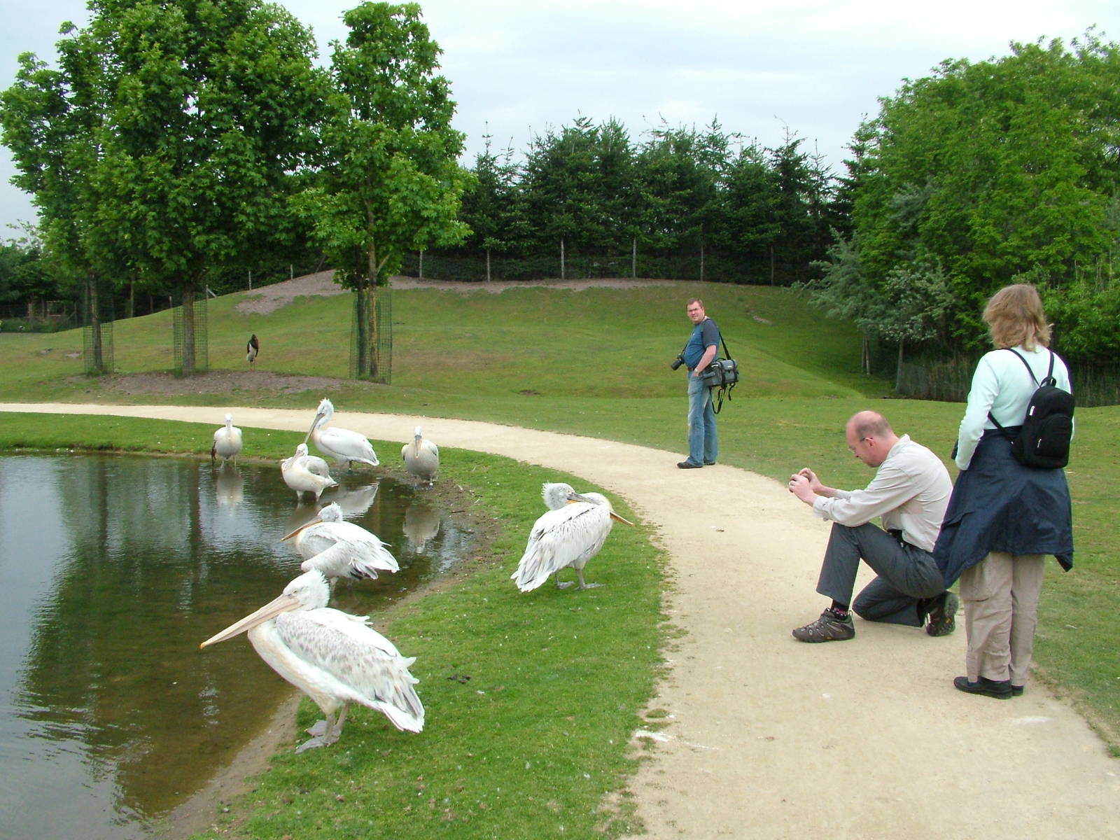 Asian Walk-through at Overloon 14/05/09