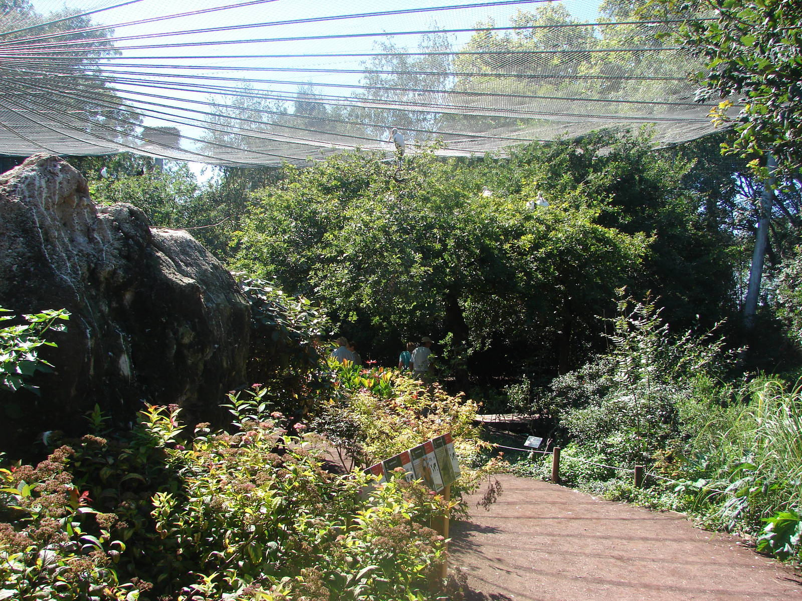 Asian walkthrough aviary