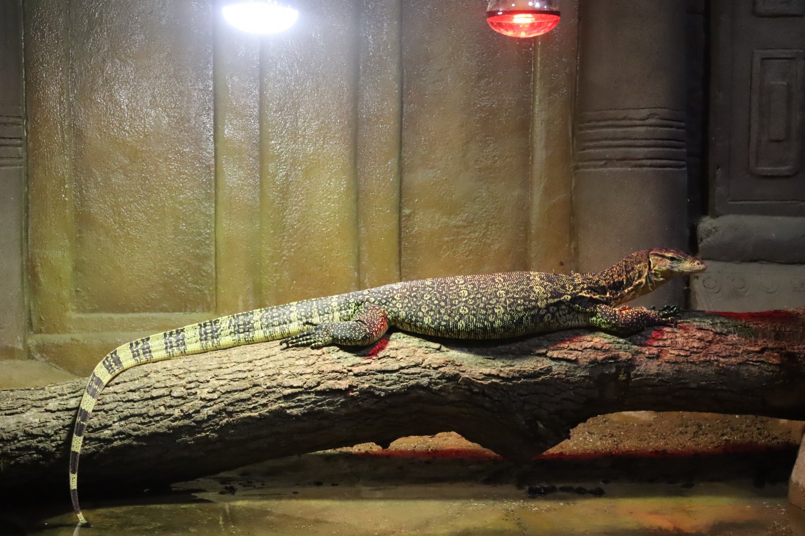 Asian Water Monitor - 19 January 2020