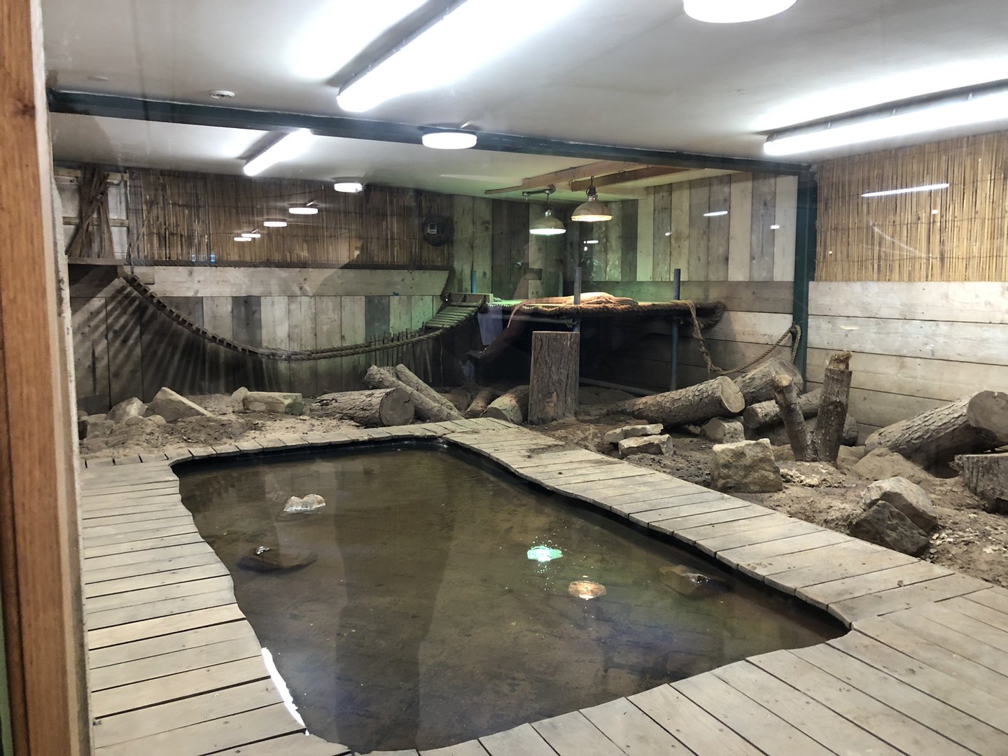 Asian Water Monitor Enclosure at Cannon Hall Farm (May 2022)