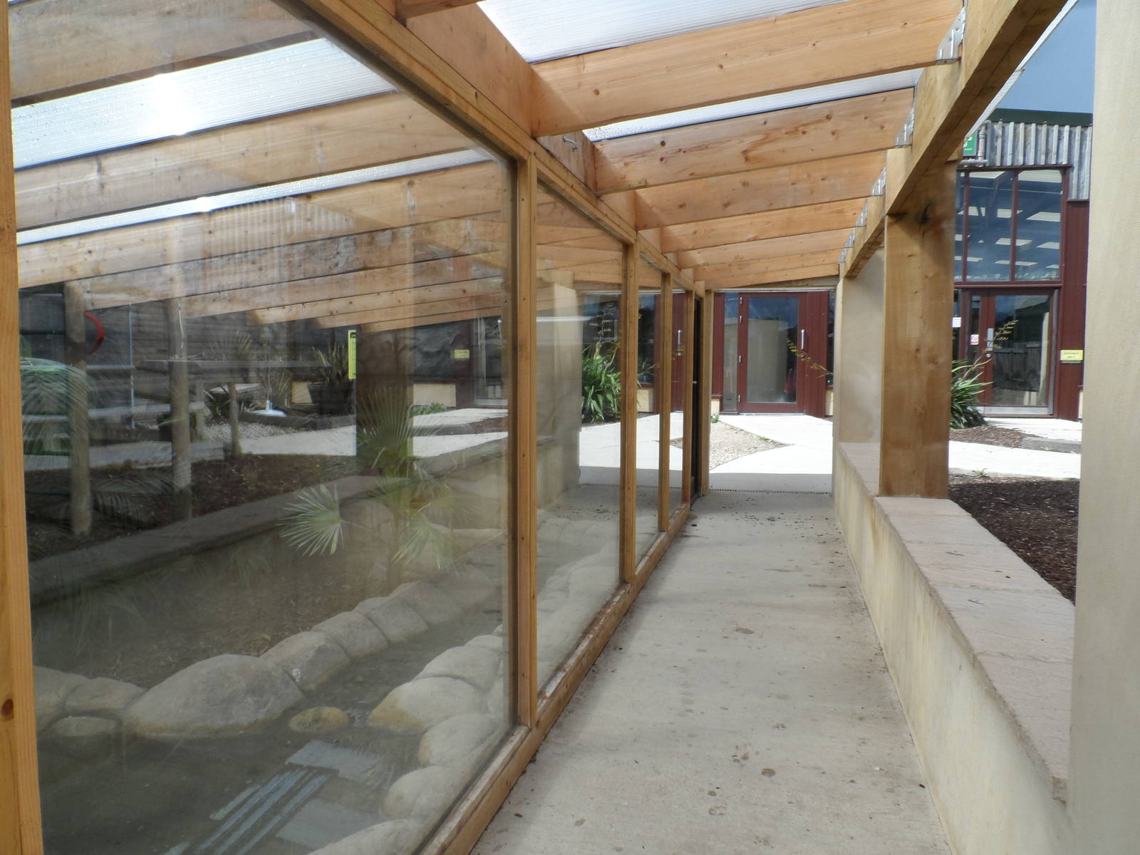 Asian Water Monitor Exhibit