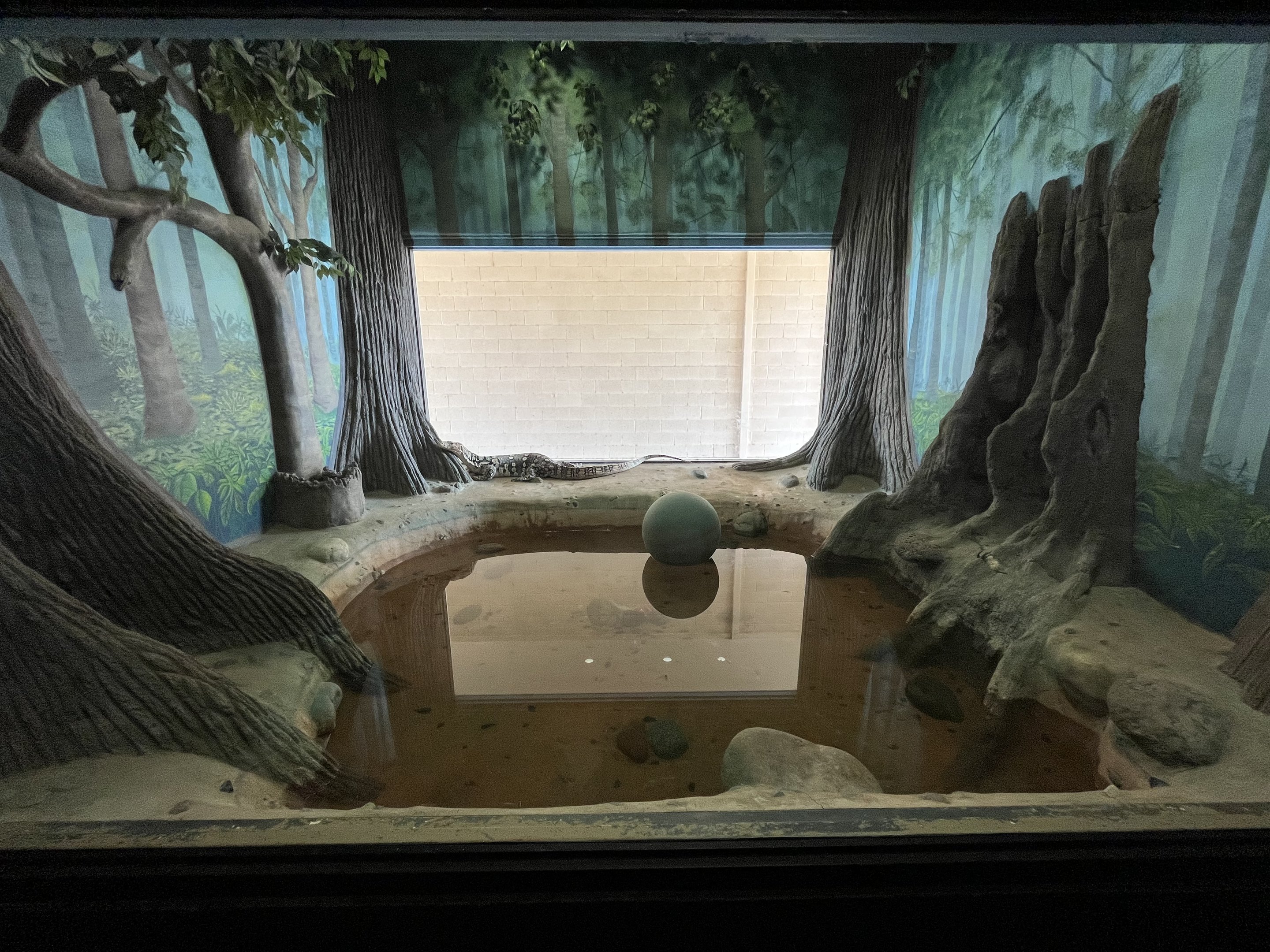 Asian Water Monitor Exhibit